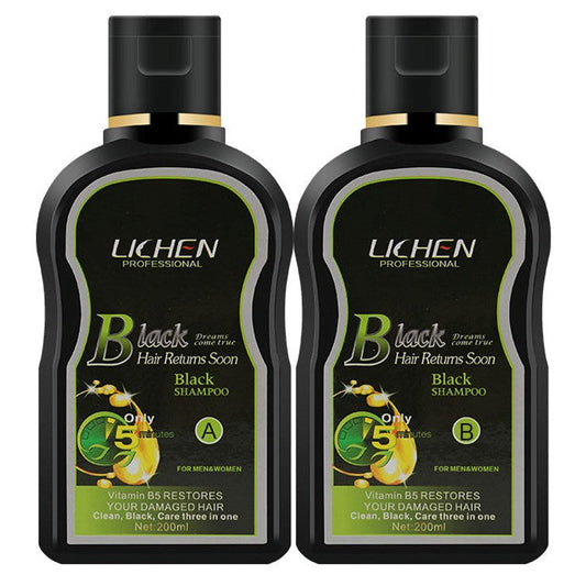 Lichen Black Hair Color Shampoo 200ml x 2 = 400ml () Large